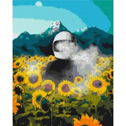 Malowanie po numerach - Kosmiczna Ziemia 40x50cm - Twoje Hobby