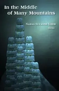 In the Middle of Many Mountains - Suzanne Jamir Nahal