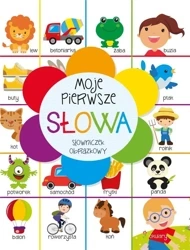 Moje pierwsze słowa. Słowniczek obrazkowy - Beata Piwko