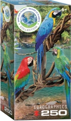 Puzzle 250 Macaws 8251-5588 - Eurographics