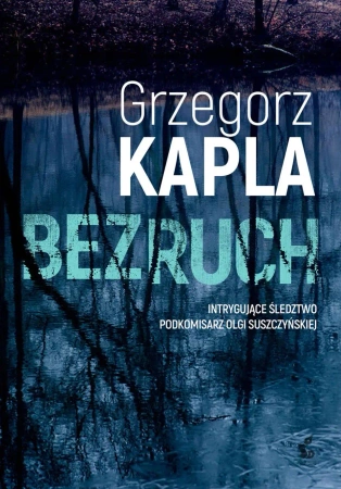 eBook Bezruch - Grzegorz Kapla epub mobi