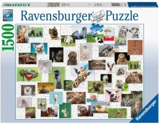 Puzzle 1500 elementów. Zabawne zwierzęta