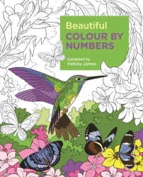 Beautiful Colour by Numbers - James Felicity