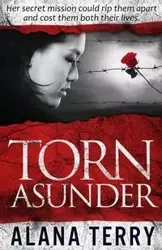 Torn Asunder - Terry Alana
