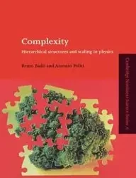Complexity - Badii Remo