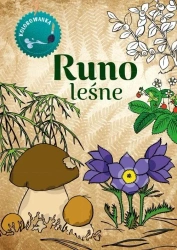 Kolorowanka. Runo Leśne - Katarzyna Kopiec Sekieta