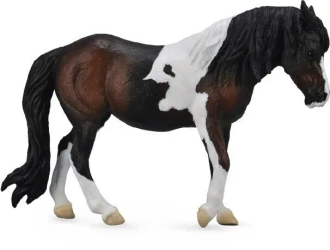 Klacz rasy Dartmoor hill - Collecta