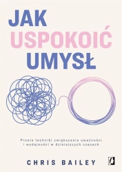 Jak uspokoić umysł - Chris Bailey, Agnieszka Patrycja Wyszogrodzka-Gai