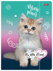 Teczka A4 z gumką My little friend - ST-Majewski