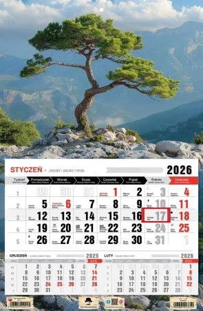 Kalendarz 2026 jednodzielny bonsai - Pan Kalendarzyk