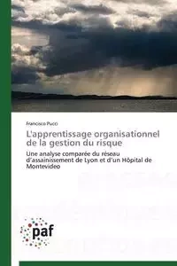 L'apprentissage organisationnel de la gestion du risque - PUCCI-F