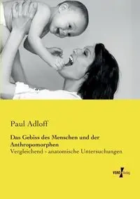 Das Gebiss des Menschen und der Anthropomorphen - Paul Adloff