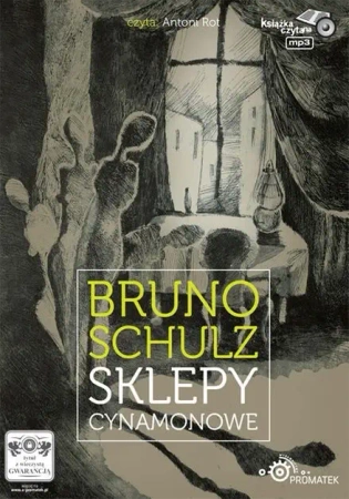 audiobook Sklepy cynamonowe - Bruno Schulz