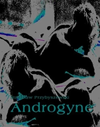 eBook Androgyne - Stanisław Przybyszewski mobi epub