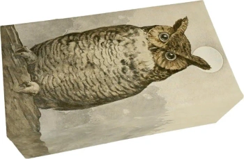 Mydło 200g zapach leśny Sowa - Skona Ting