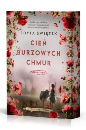Cień burzowych chmur (barwione brzegi) - Edyta Świętek