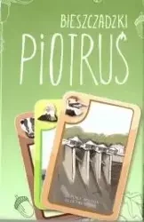 Karty - Piotruś Bieszczadzki - Plan