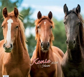 Kalendarz 2024 Ścienny Konie z ciekawostkami - AVANTI