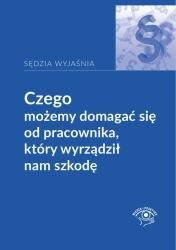 eBook Czego możemy domagać się od pracownika, który wyrządził nam szkodę - Rafał Krawczyk