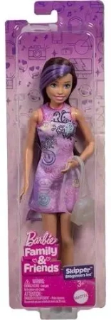 Barbie Family&Friends Lalka Skipper JBF41 - Mattel