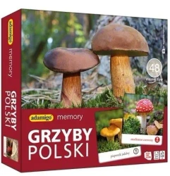 Memory Grzyby Polski - Adamigo