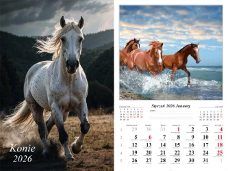 Kalendarz 2026 ścienny Konie - praca zbiorowa
