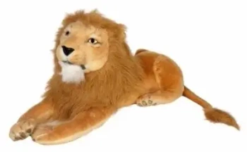 Lew 60cm - Dubi