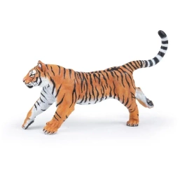 Tygrys biegnący - PAPO