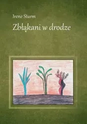 Zbłąkani w drodze - Irene Sturm