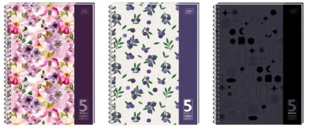 Kołozeszyt B5/160K kratka 5 kol registrów (5szt) - INTERDRUK