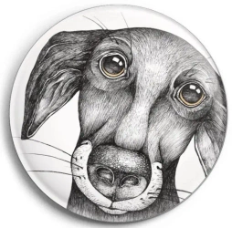 Magnes Pies Jurgen - Ligarti