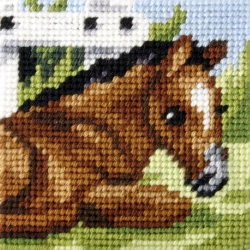 Haft. Moje pierwsze wyszywanie - Źrebaczek - Anex-bis