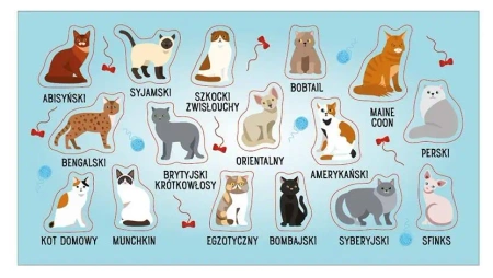 Naklejki Rasy kotów - Ranok-Creative