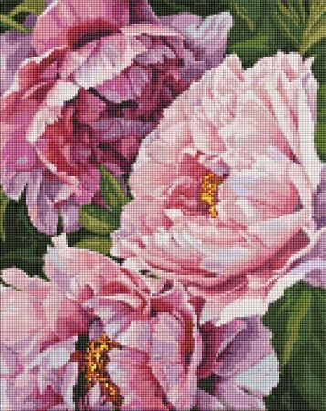 Diamentowa mozaika bez ramy - Magia kwiatów 40x50 - Ideyka