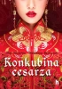 Konkubina cesarza - Waldemar Bednaruk, Alex Vastatrix