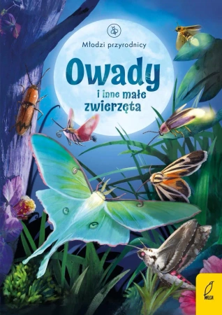 Młodzi przyrodnicy. Owady i inne małe zwierzęta - Emily Bone