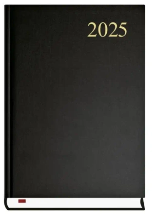 Terminarz 2026 A5 Asystent czarny - praca zbiorowa