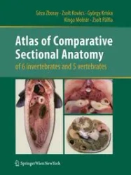 Atlas of Comparative Sectional Anatomy of 6 invertebrates and 5 vertebrates - Zboray Géza