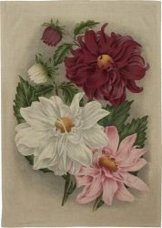 Ręcznik kuchenny - Dalia fioletowa - Skona Ting