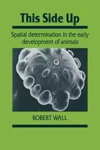 This Side Up - Robert Wall