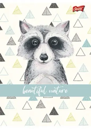 Paczka Zeszyt A5 32k linia dziewczęcy pakiet 15 sztuk - ST-Majewski