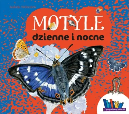 Motyle dzienne i nocne - Izabela Sielezniew