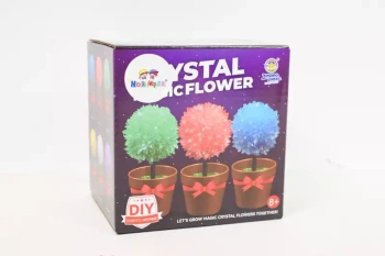 Kryształy kwiaty rosnące mag.2001204 12047