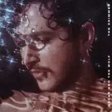The Shimmer, CD