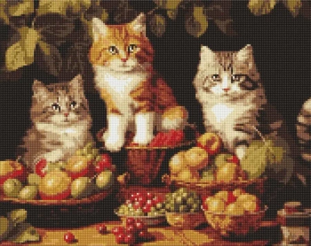 Diamentowa mozaika - Koty i owoce 40x50cm - Ideyka