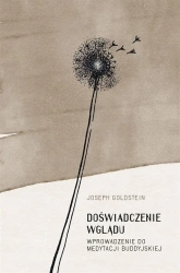 Doświadczenie wglądu - Joseph Goldstein, Jacek Majewski