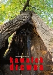 Kawałek drewna - Włodzimierz Zaczek