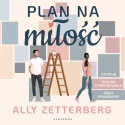 audiobook Plan na miłość - Ally Zetterberg