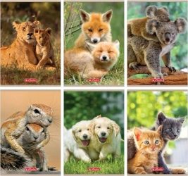 Zeszyt A5/32K linia podwójna Animals (10szt) - HERLITZ