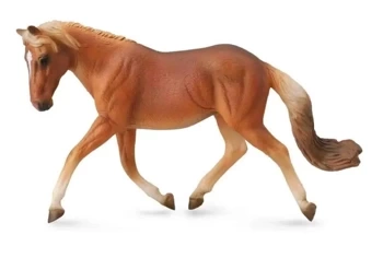 Klacz Haflinger - Collecta